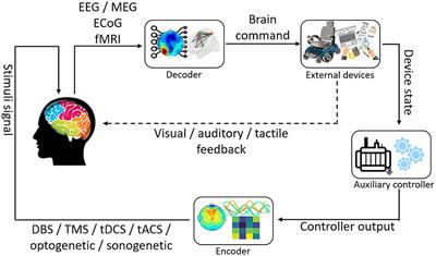 On closed-loop brain stimulation systems for improving the quality of life of patients with neurological disorders